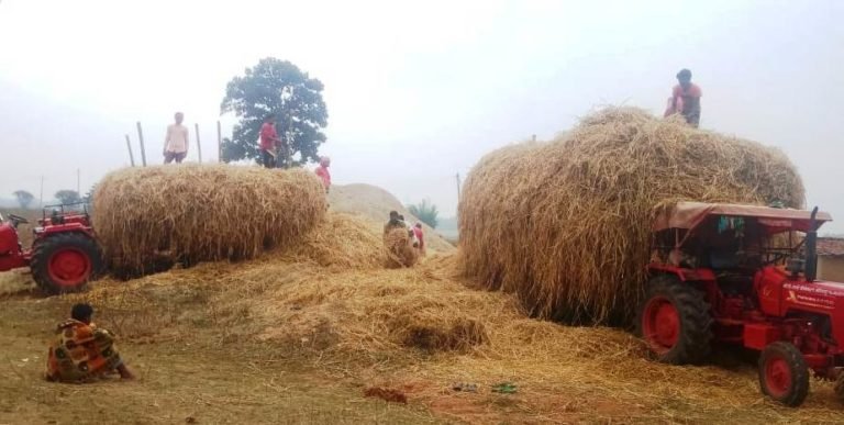 नरुवा, गरुवा, घुरुवा और बाड़ी