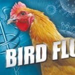 Seeing the risk of bird flu, doctors and health officials Surajpur gave information about prevention and prevention